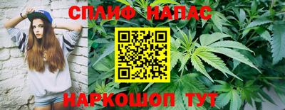 индика Жуковский