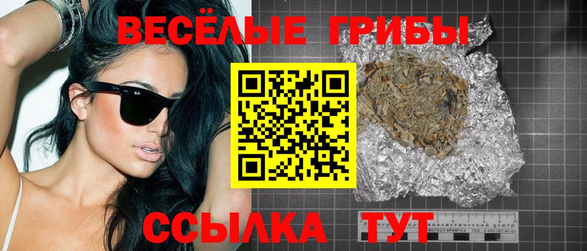 Псилоцибиновые грибы Psilocybe  Ростов-на-Дону 