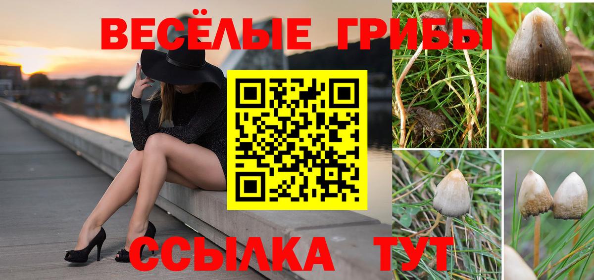  Кокаин Ростов-на-Дону