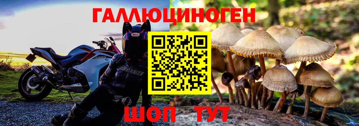 Ростов-на-Дону  Псилоцибиновые грибы мухоморы  Вход с VPN 