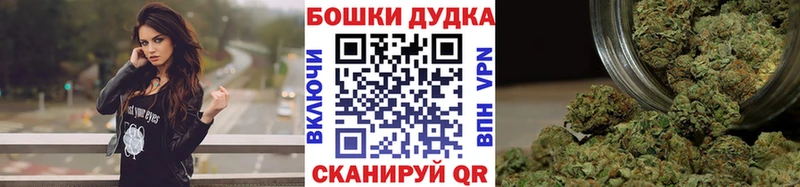 как найти наркотики  Ростов-на-Дону  Конопля план 